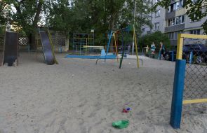 The corpse of a wandering dog