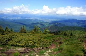 View from Mount Goverla