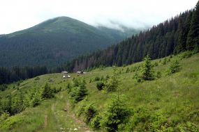 View of Mount Goverla