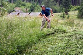 A man mowing the grass