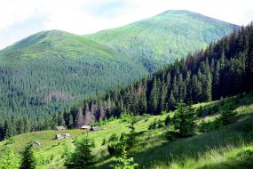 View of Mount Goverla