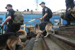 Servicemen with dogs