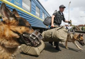 Serviceman with a dog