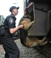 Serviceman with a dog