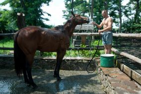 A man washes a horse