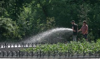 Реконструкция сквера на Русановской набережной