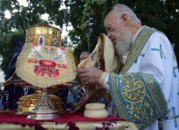 Metropolitan Vladimir