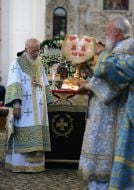 Metropolitan Vladimir