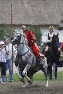 Competition of Ukrainian Cossacks