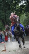Participant of a knight tournament
