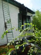 Consequences of fire