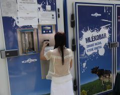 A girl puts money into the machine "Milk-bar"