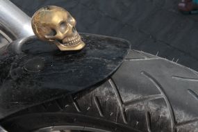 Skull