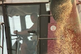 Driver of combine harvester