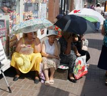 Сторонники Тимошенко