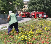 Жінка копає квіткову клумбу
