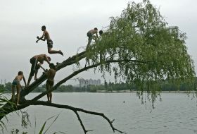 Подростки прыгают с дерева в озеро