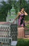 Fragment of the National bank of Ukraine miniature