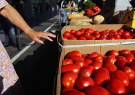 Ящики з  помідорами