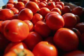 Помідори