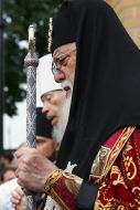 Митрополит Владимир и Патриарх Грузии Илья II