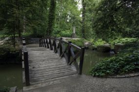 Wooden bridge