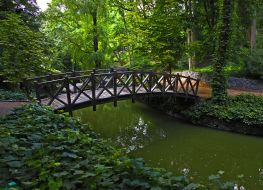 Wooden bridge