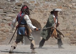 Participants of the mass battle