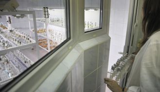 Participant of the Summer School of Junior Academy of Sciences