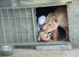 Aleksandr Pylyshenko and lioness Katya