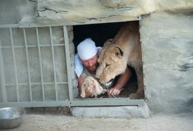 Aleksandr Pylyshenko and lioness Katya