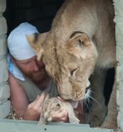 Aleksandr Pylyshenko and lioness Katya