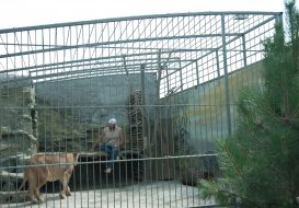 Aleksandr Pylyshenko