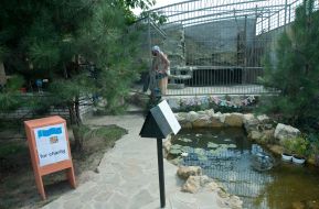 Александр Пылышенко