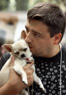 The smallest breed of dog - Chihuahua