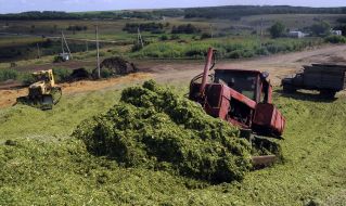 Silage