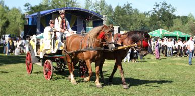 Carpathian Festival of authentic cuisine "Delicious Spas"