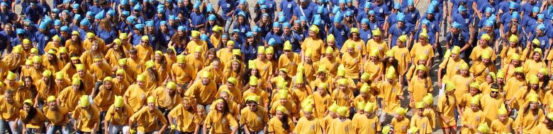 "Living" flag of Ukraine