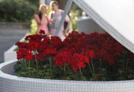 Sculpture "Piano in bushes"