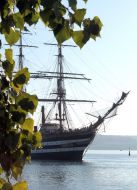 Sailing-vessel Amerigo Vespucci