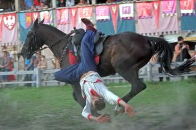 Actor of equestrian theater