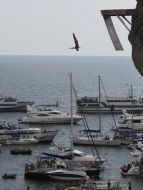Cliff Diving World Cup