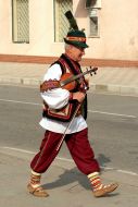 Musician