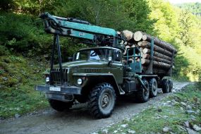 Log carrier