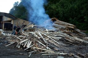 Incineration of trees