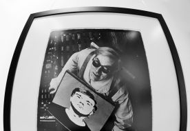 Reproduction of picture