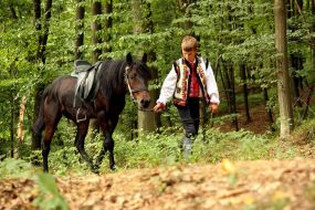 Talk VI competition horses