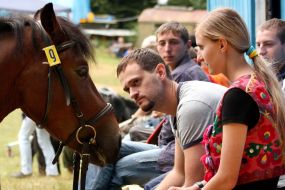 Talk VI competition horses