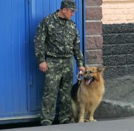 Guard