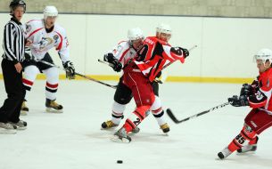 HC "Gaydamaki" (Vinnitsa) vs. HC "Levy" (Lvov)